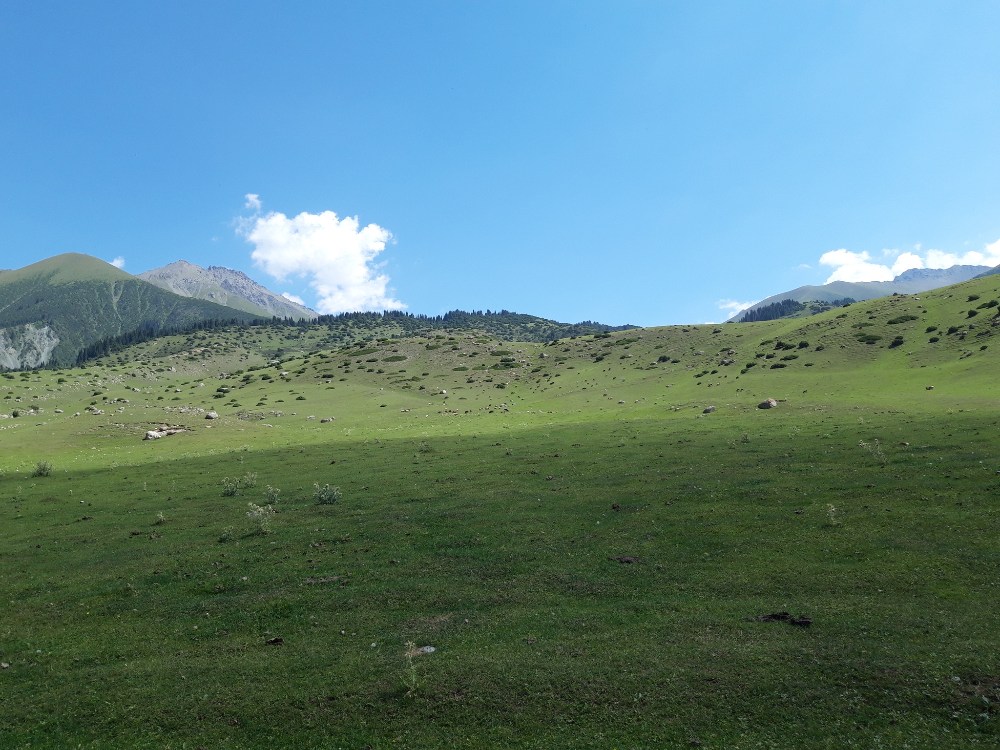 Road to placer gold deposit - Kyrgyzstan, Field, The mountains, Road, beauty, Small business, Travels, Pasture, Nature, Video, Longpost