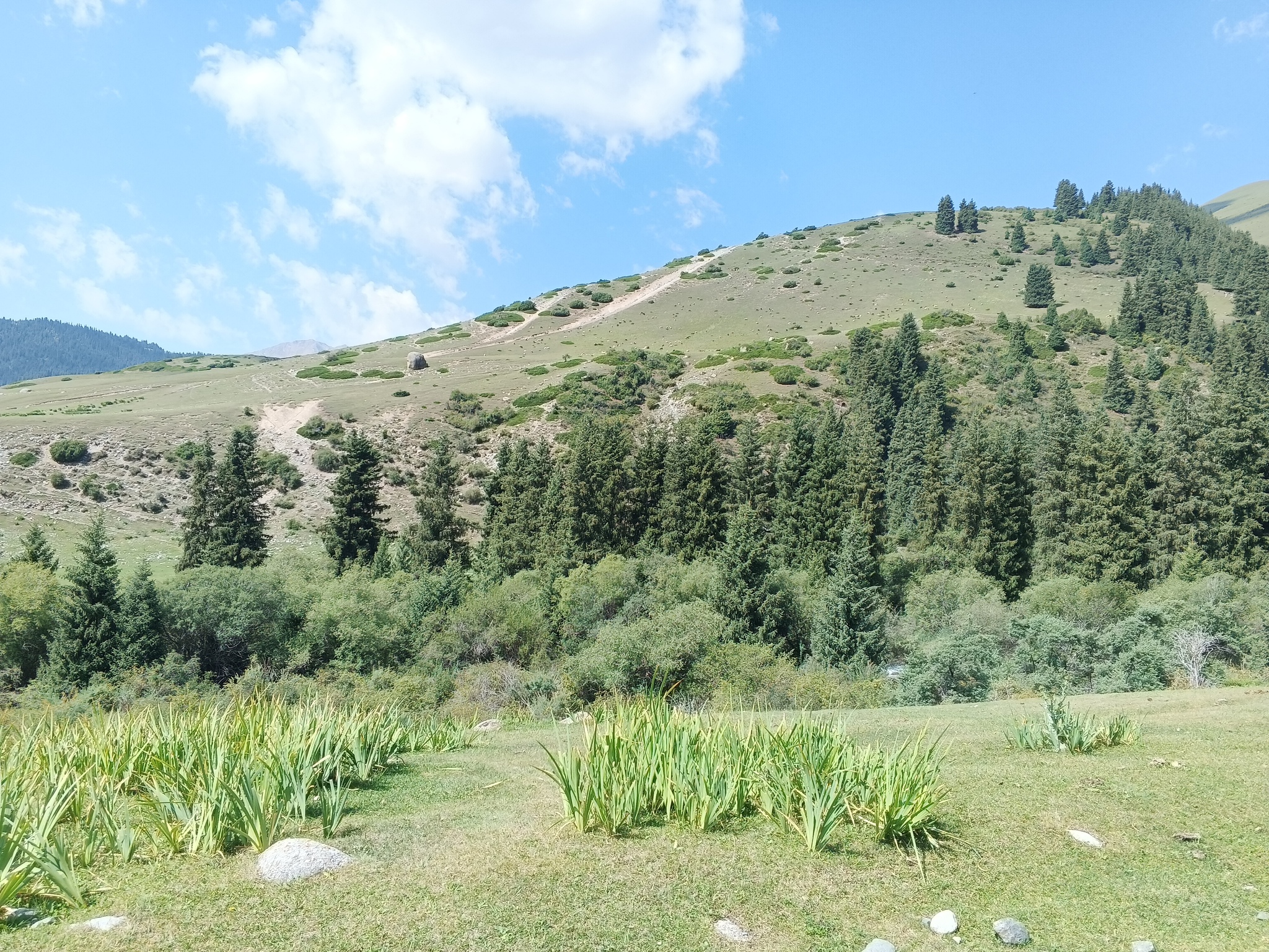 Road to placer gold deposit - Kyrgyzstan, Field, The mountains, Road, beauty, Small business, Travels, Pasture, Nature, Video, Longpost