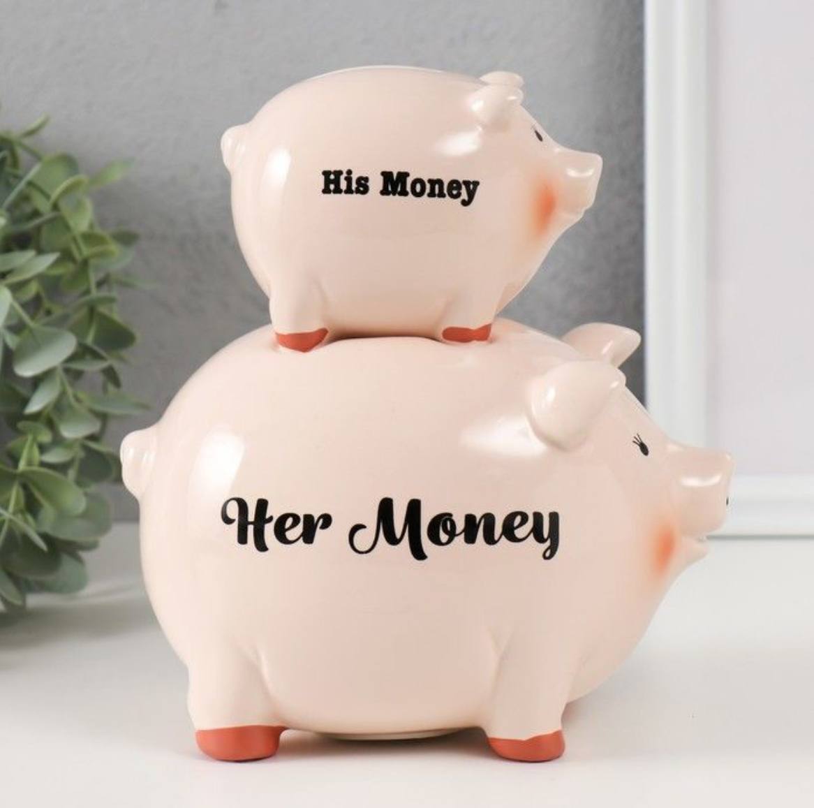 A piggy bank for her and for him, but there is a nuance - Humor, Money box, Pig, Family budget, Telegram (link)