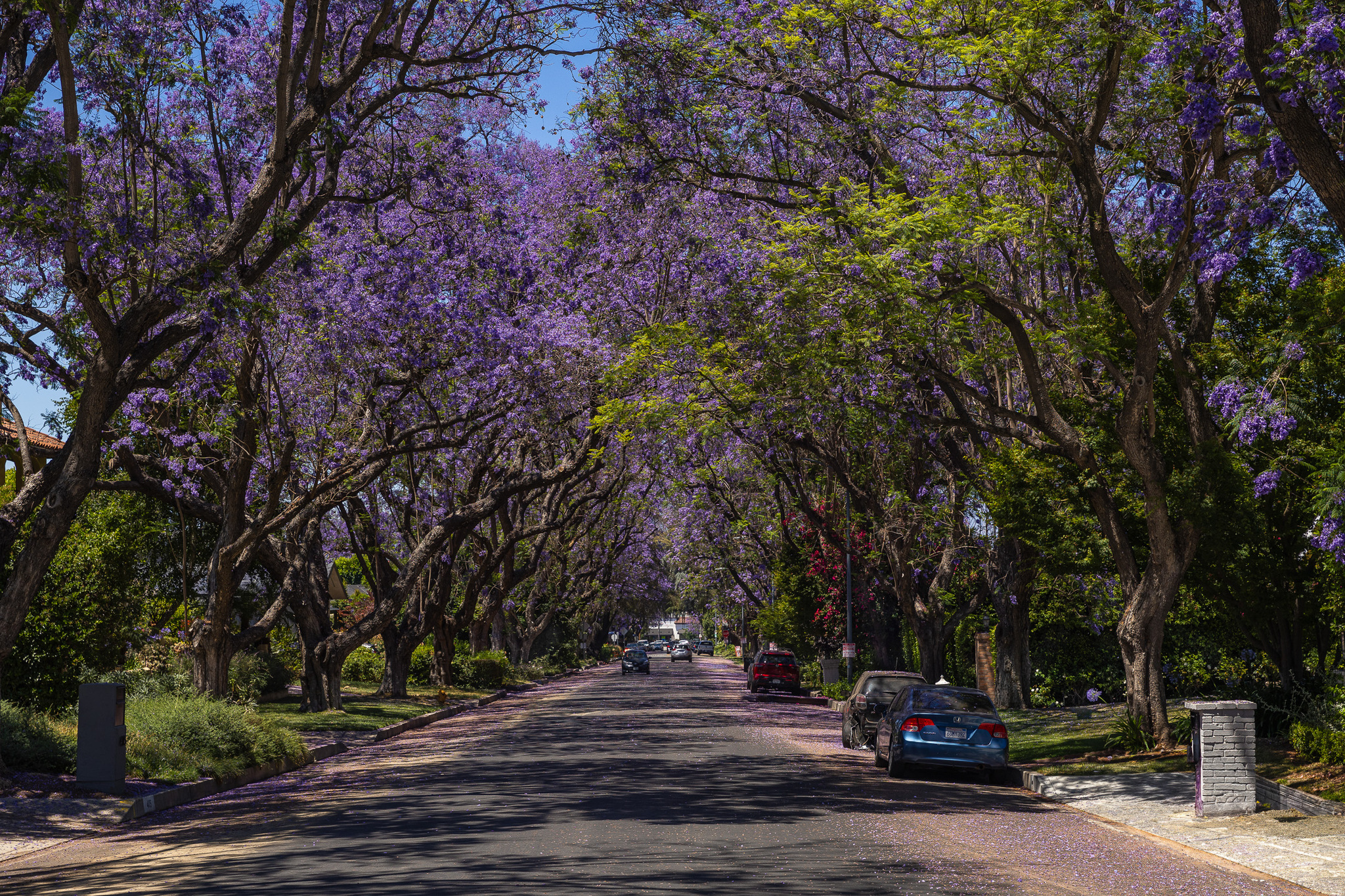 California - The photo, Travels, Town, City walk, Ocean, Pacific Ocean, Los Angeles, Canon, Longpost