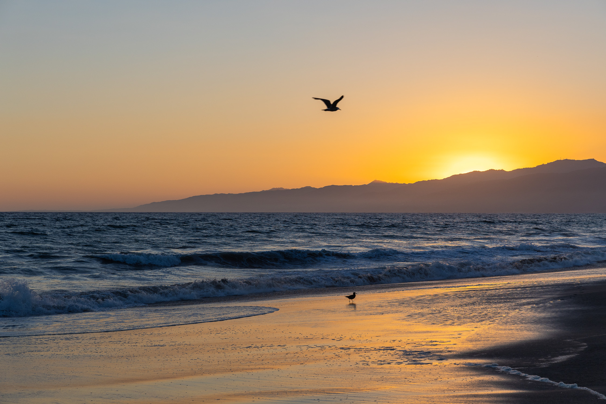 California - The photo, Travels, Town, City walk, Ocean, Pacific Ocean, Los Angeles, Canon, Longpost