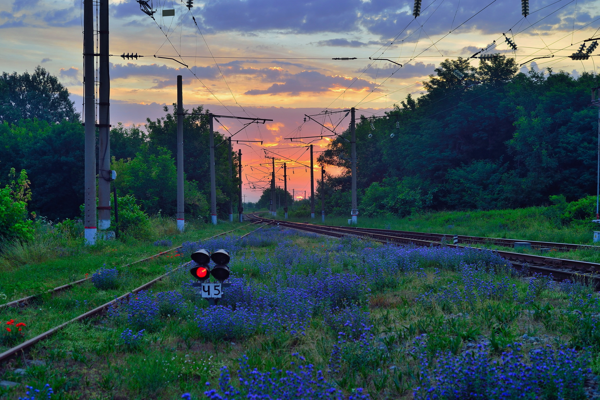 Summer morning - The photo, Railway, Nature, Summer, Morning