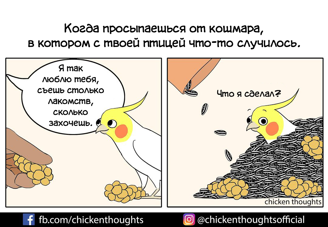 Кошмар - Комиксы, Перевел сам, Chicken thoughts, Попугай