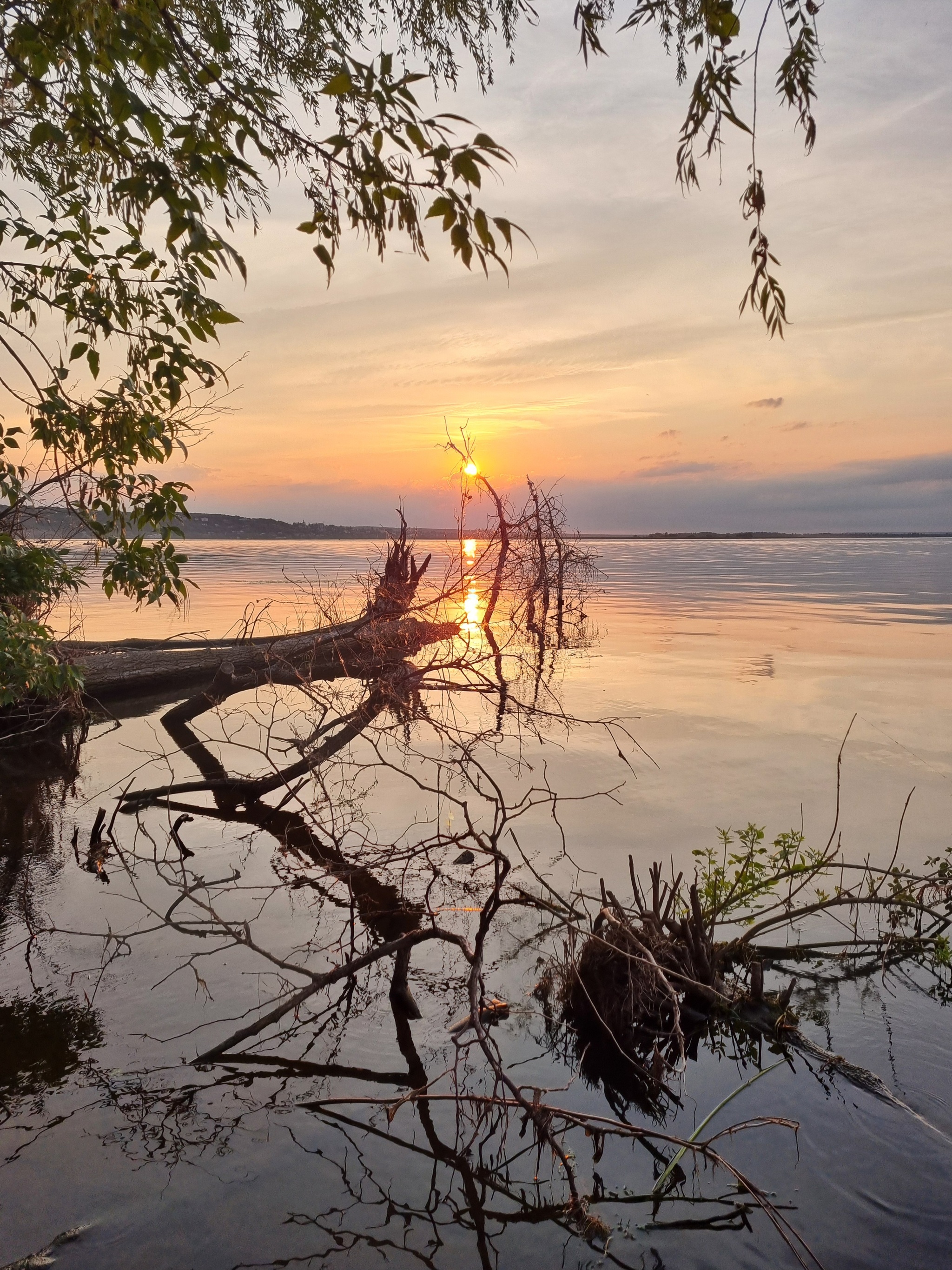 It's nice here, but there are a lot of spiders - My, The nature of Russia, Volga river, Island, Landscape, Sunset, Mobile photography, Longpost