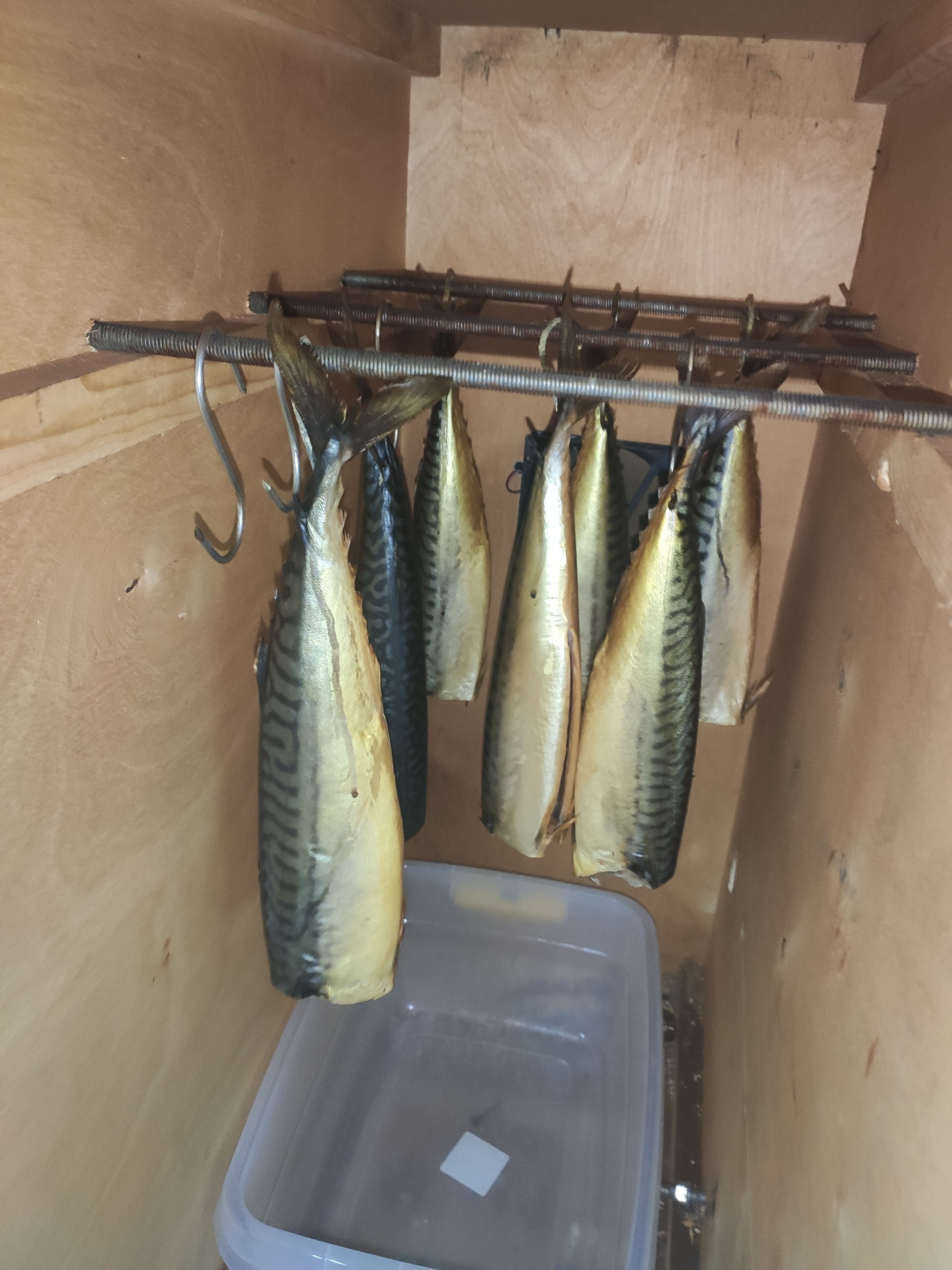 Cold smoked mackerel. My version) - My, Smoking, Mackerel, Longpost