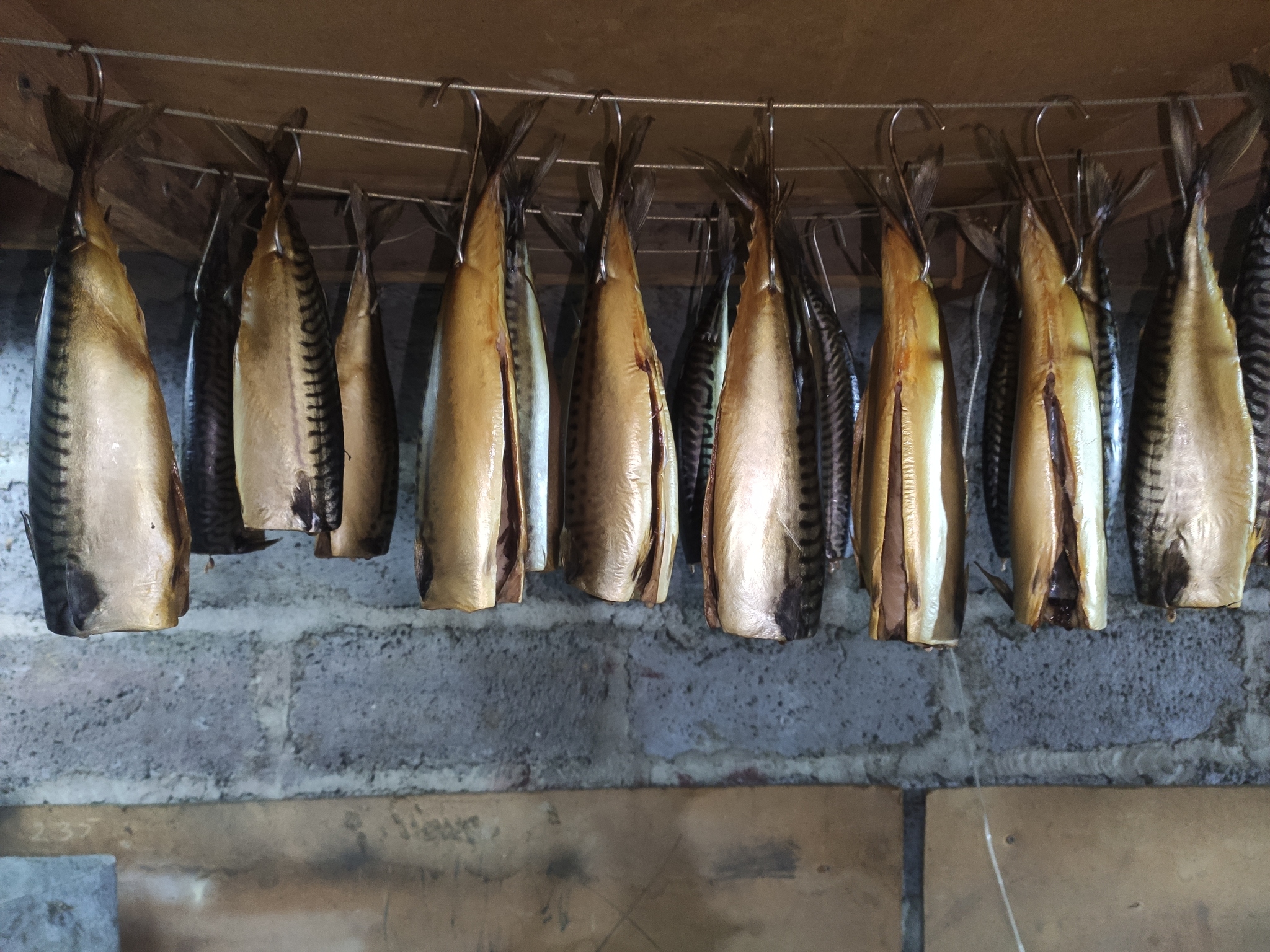 Cold smoked mackerel. My version) - My, Smoking, Mackerel, Longpost