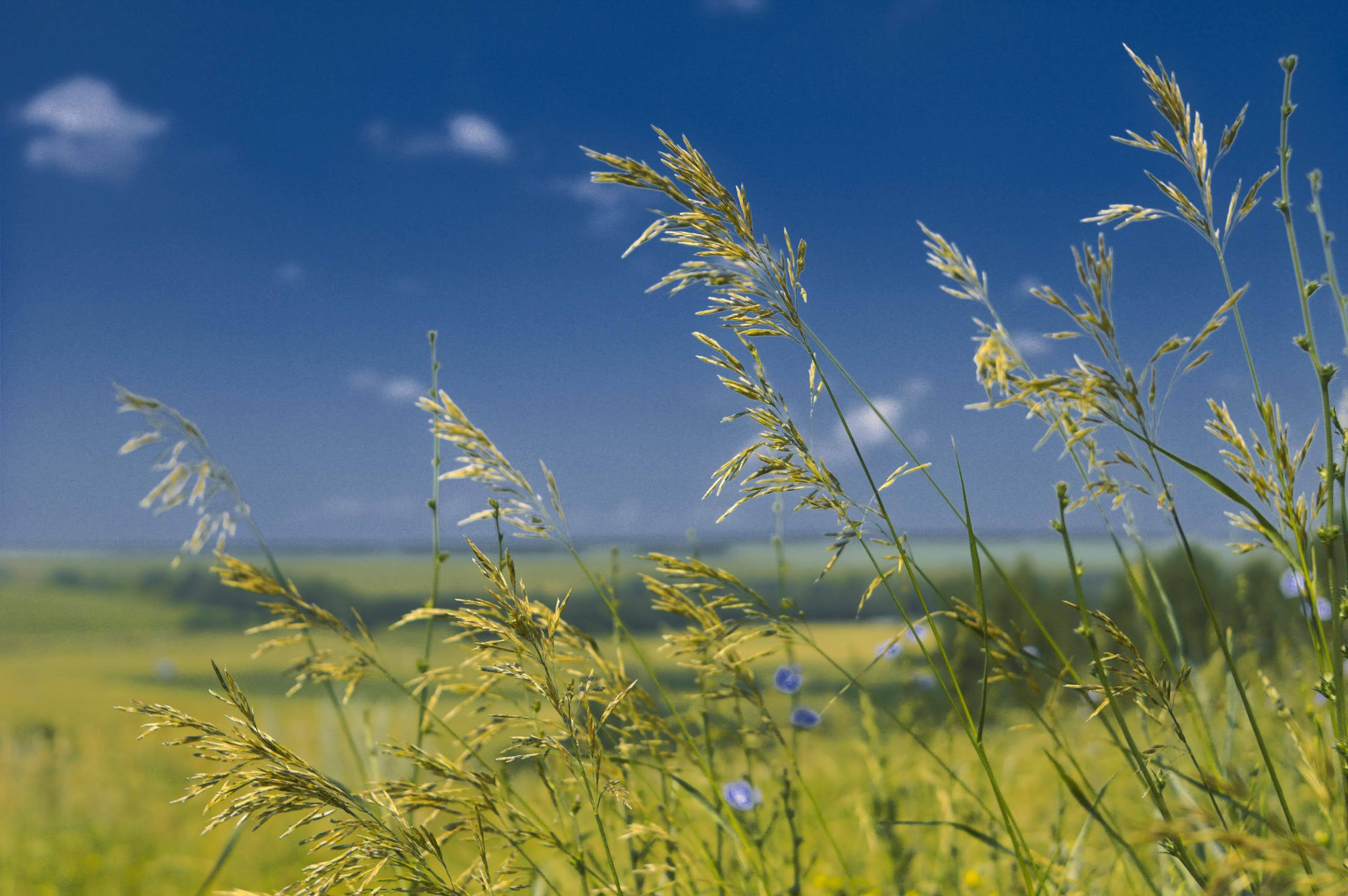 July hot day - My, The photo, Tatarstan, Landscape, Canon, Canon 1100d, Sky, Summer, Nature