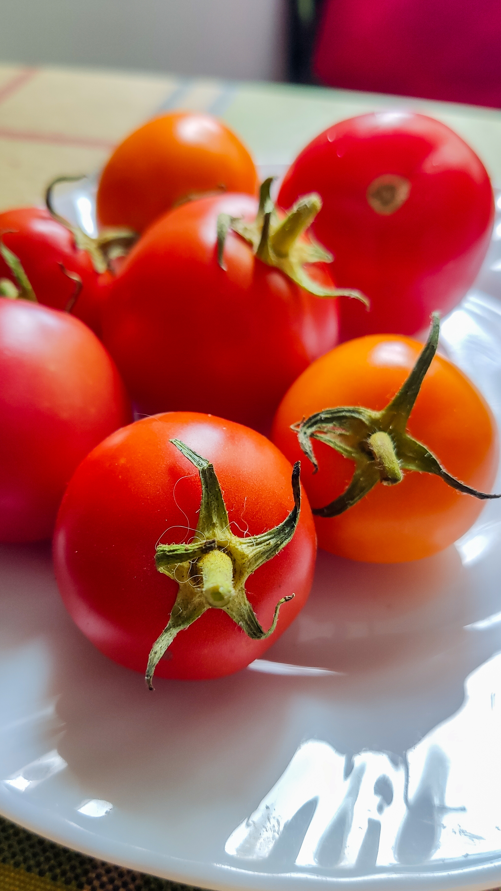 Photo project Let's take a closer look post No. 68. Tomato - My, Bloom, Salad, Soup, Dinner, Macro photography, Microfilming, Tomatoes, Gardening, Plants, The photo, Garden, Longpost