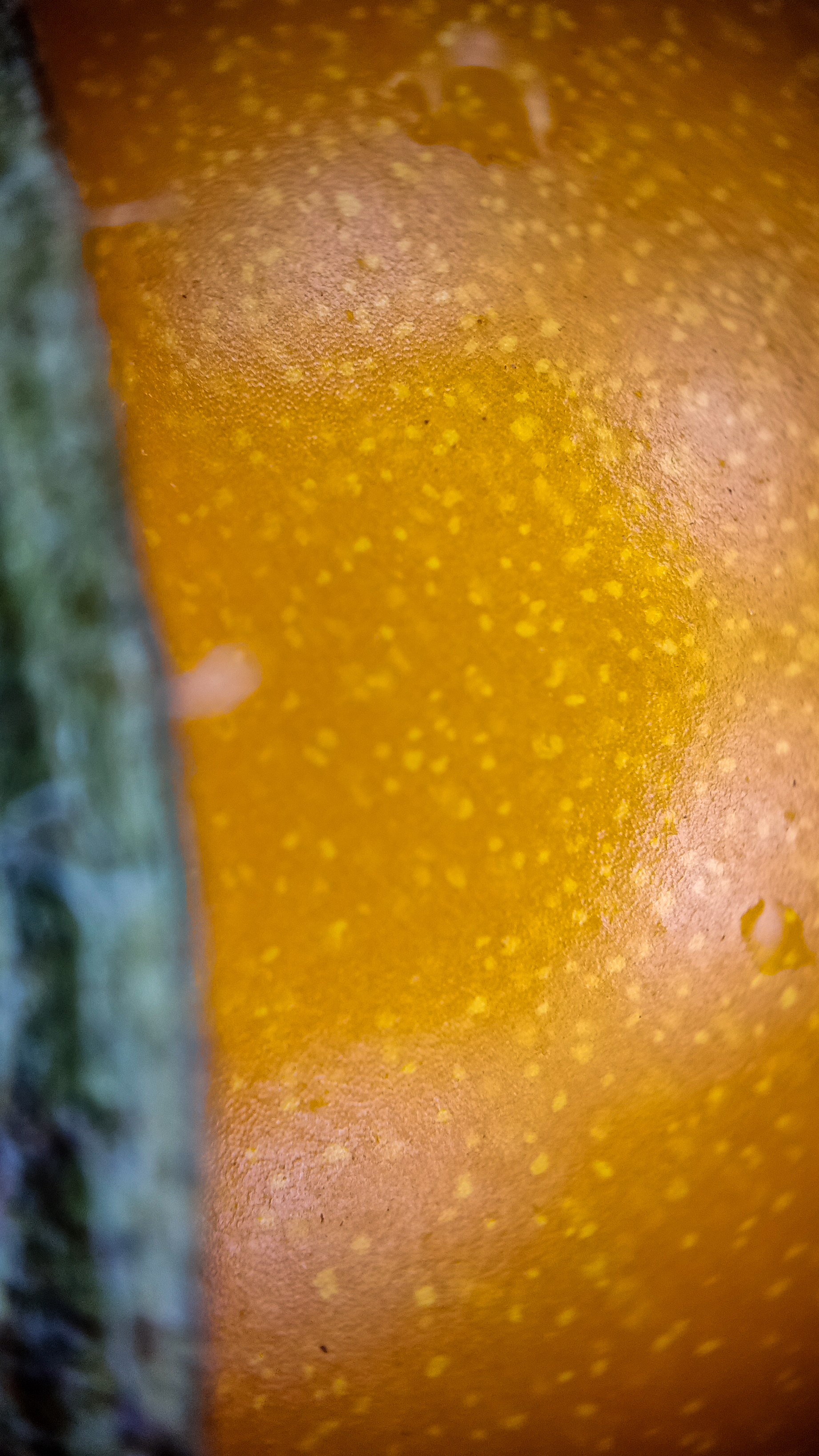 Photo project Let's take a closer look post No. 68. Tomato - My, Bloom, Salad, Soup, Dinner, Macro photography, Microfilming, Tomatoes, Gardening, Plants, The photo, Garden, Longpost