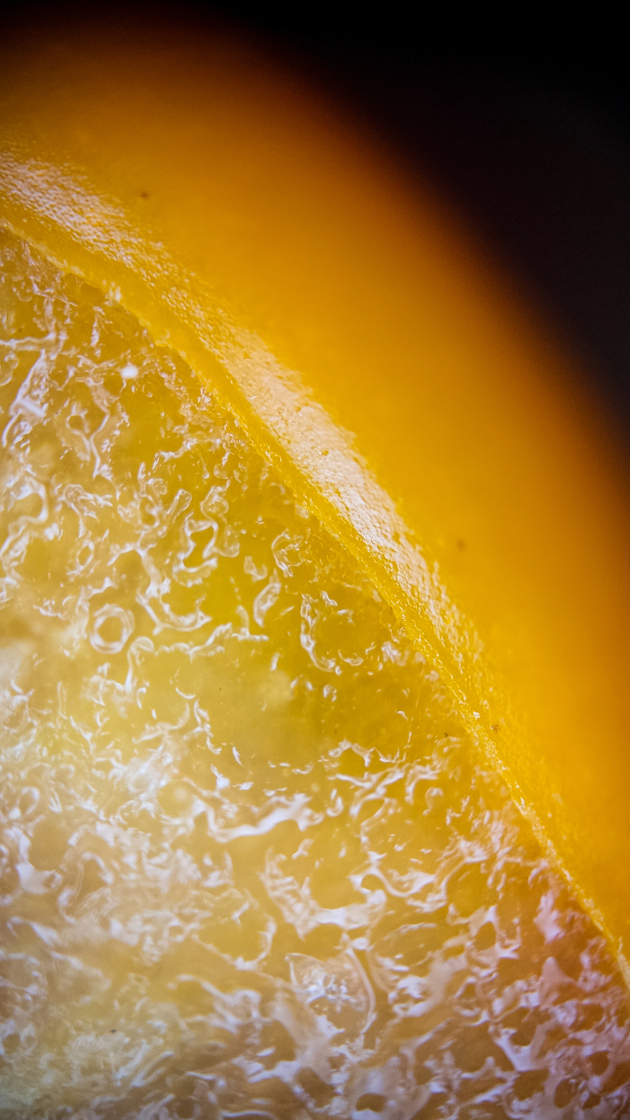 Photo project Let's take a closer look post No. 68. Tomato - My, Bloom, Salad, Soup, Dinner, Macro photography, Microfilming, Tomatoes, Gardening, Plants, The photo, Garden, Longpost