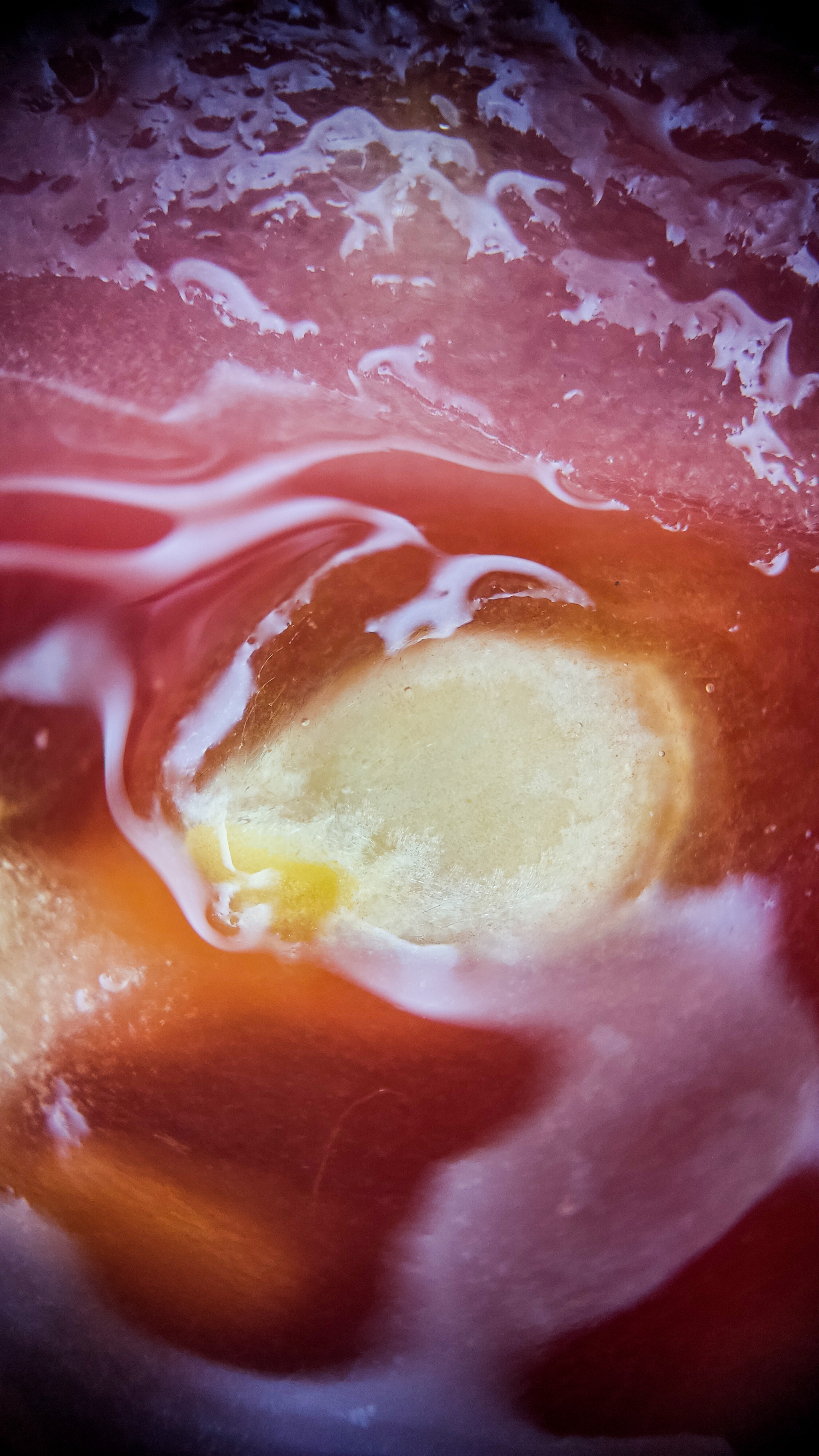 Photo project Let's take a closer look post No. 68. Tomato - My, Bloom, Salad, Soup, Dinner, Macro photography, Microfilming, Tomatoes, Gardening, Plants, The photo, Garden, Longpost