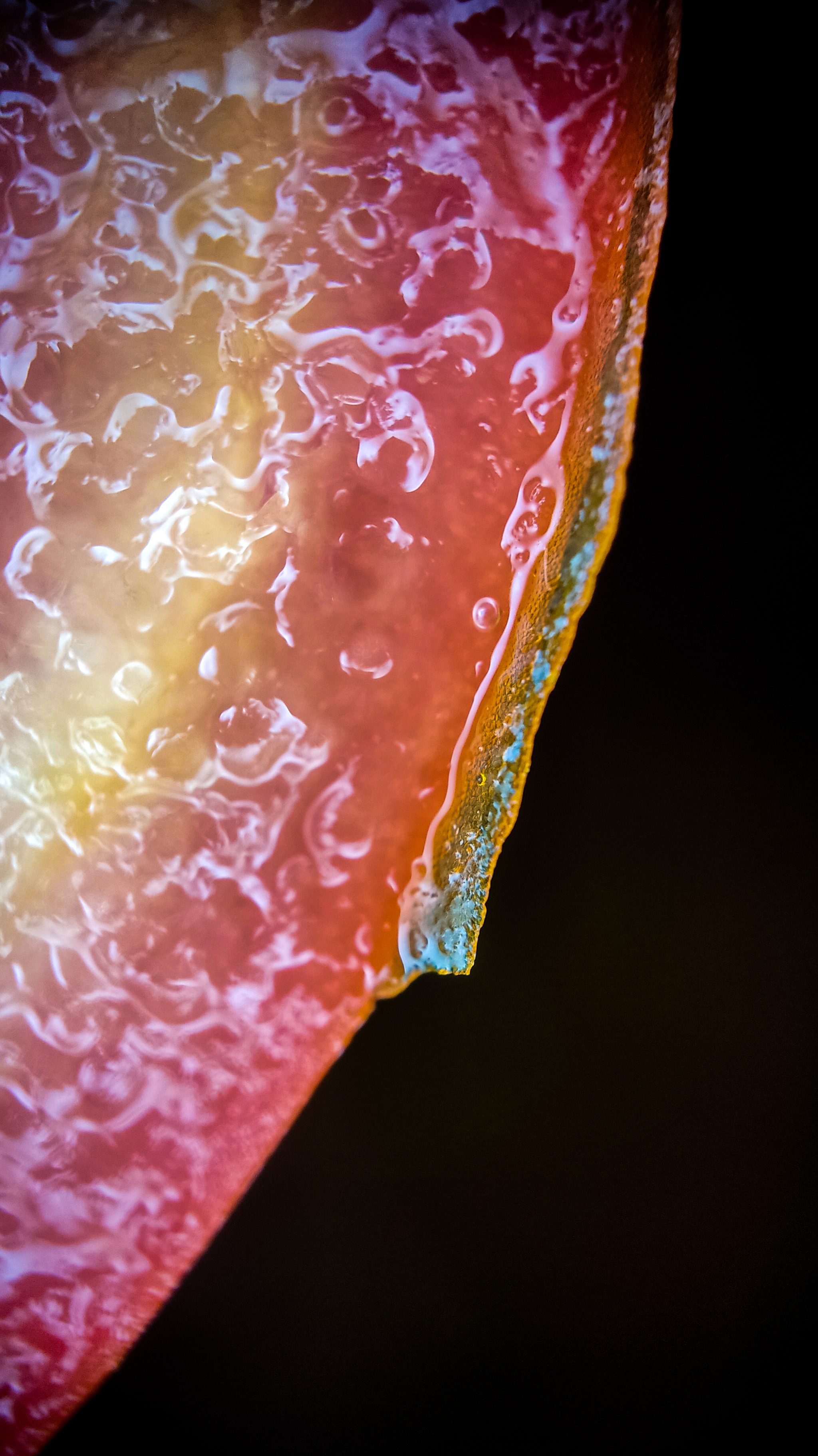 Photo project Let's take a closer look post No. 68. Tomato - My, Bloom, Salad, Soup, Dinner, Macro photography, Microfilming, Tomatoes, Gardening, Plants, The photo, Garden, Longpost