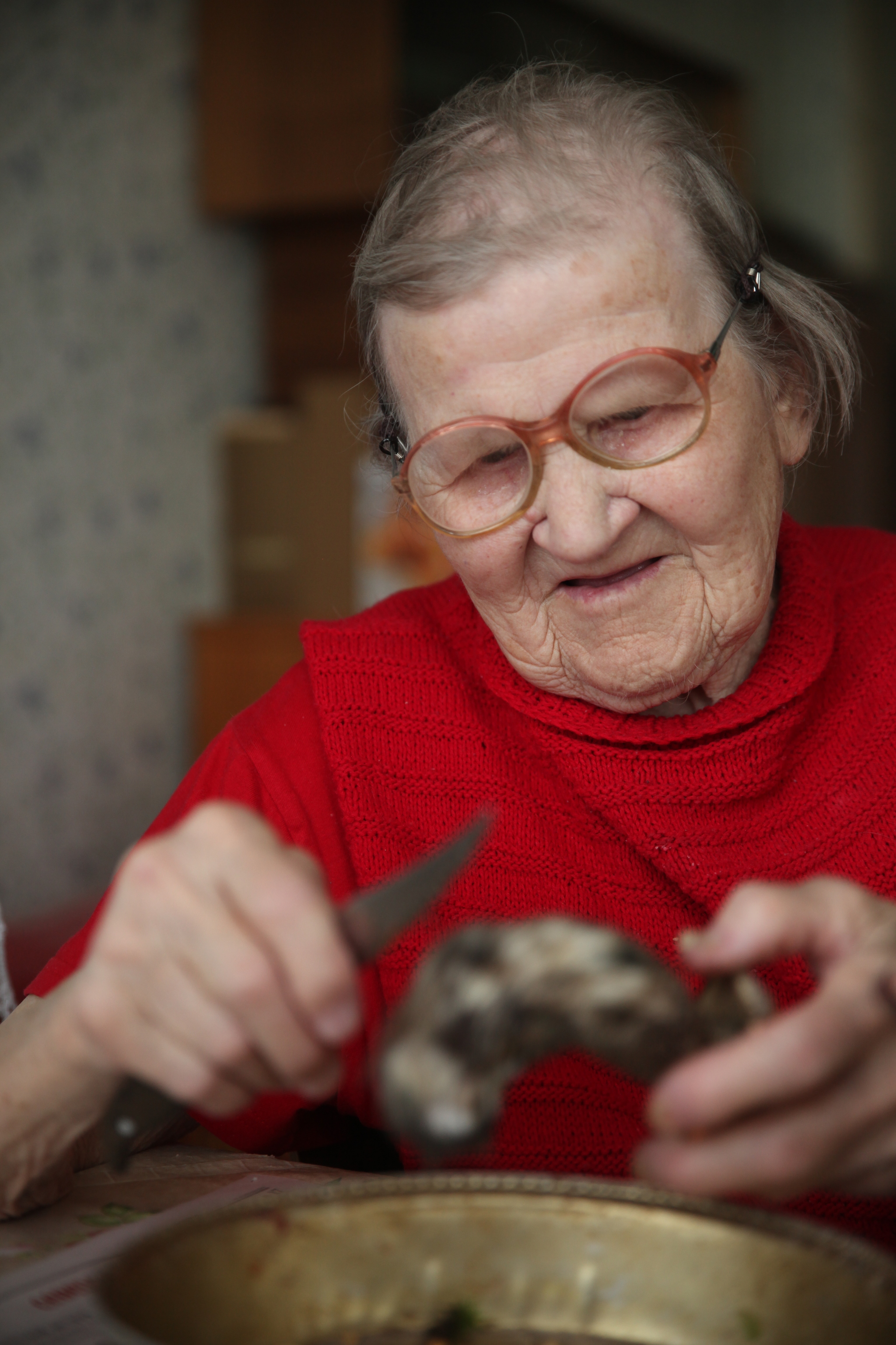 Mushrooms, ass and happiness - My, Grandmother, Village, Life stories, Family, Mushrooms, Mushroom pickers, Summer season, Everyday life, Happiness, Dinner, Longpost