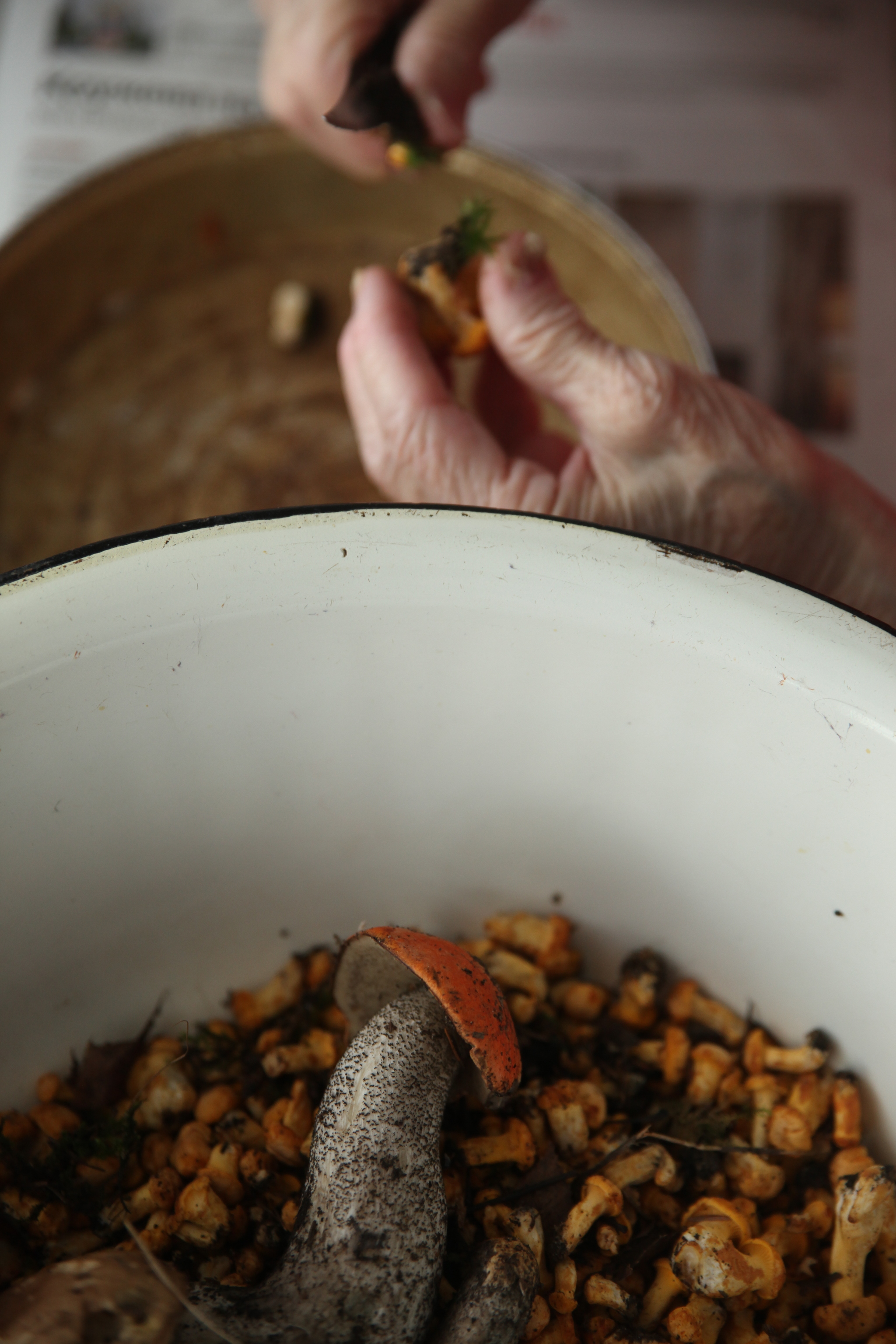 Mushrooms, ass and happiness - My, Grandmother, Village, Life stories, Family, Mushrooms, Mushroom pickers, Summer season, Everyday life, Happiness, Dinner, Longpost