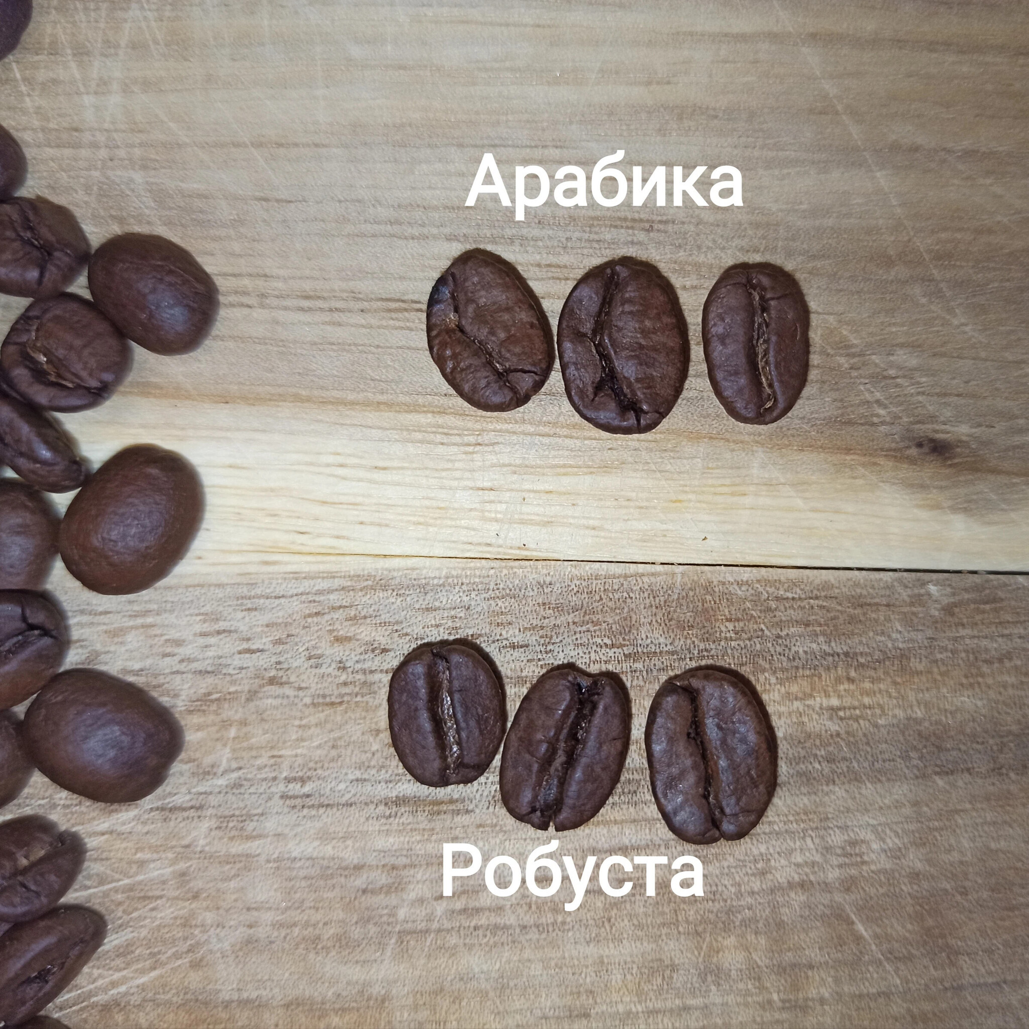 Only at 47 years old did I learn how to choose coffee beans. - My, Beverages, Coffee, LatГ©, Tea, Soft drinks, Tonic drink