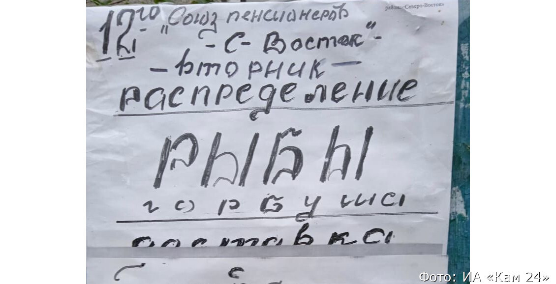 Пенсионеры в Петропавловске добывают рыбу - Камчатка, Негатив, Пенсионеры, Рыба, Очередь, Видео, YouTube, YouTube (ссылка), Длиннопост