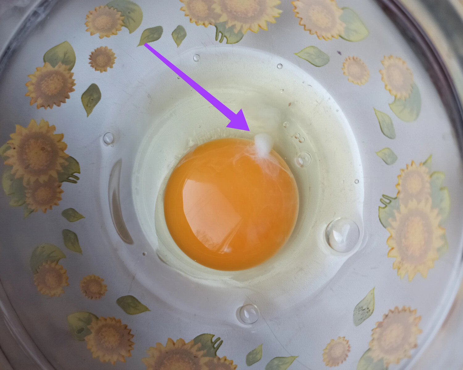 What is the white “thread” in the egg and is it possible to eat it? - My, Ingredients, Cooking, Serving dishes, Eggs, Egg, Interests, Facts, Funny