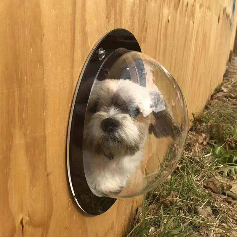 Reply to the post “Everyone has good neighbors like this dog” - Neighbours, Dog, Joy, Fence, Video, Vertical video, Hole, Curiosity, Care, VPN, Reply to post, Longpost