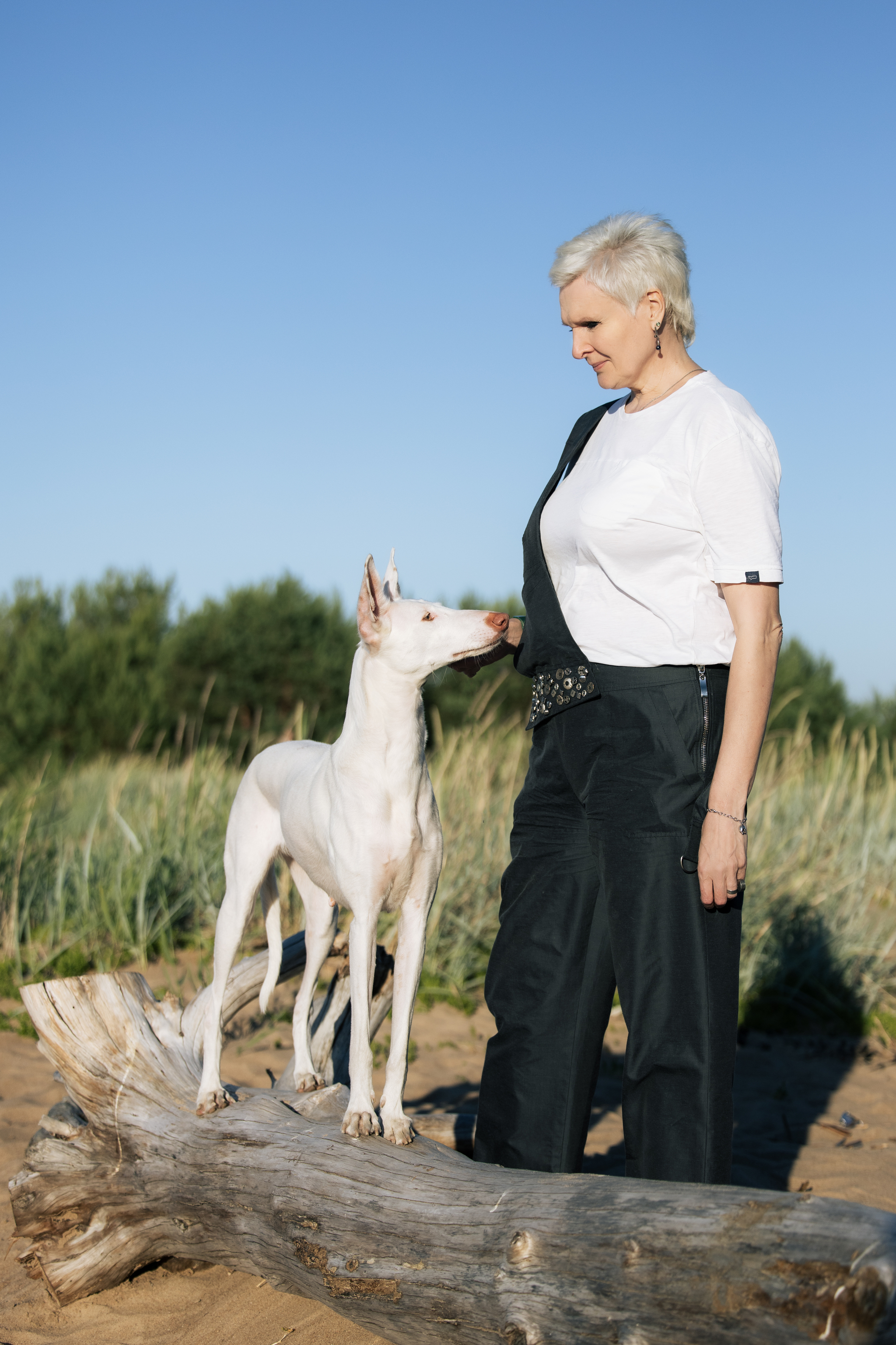 Varya and Parabel - My, Podenko Ibitsenko, Horses, Longpost, The photo, Pets, Dog