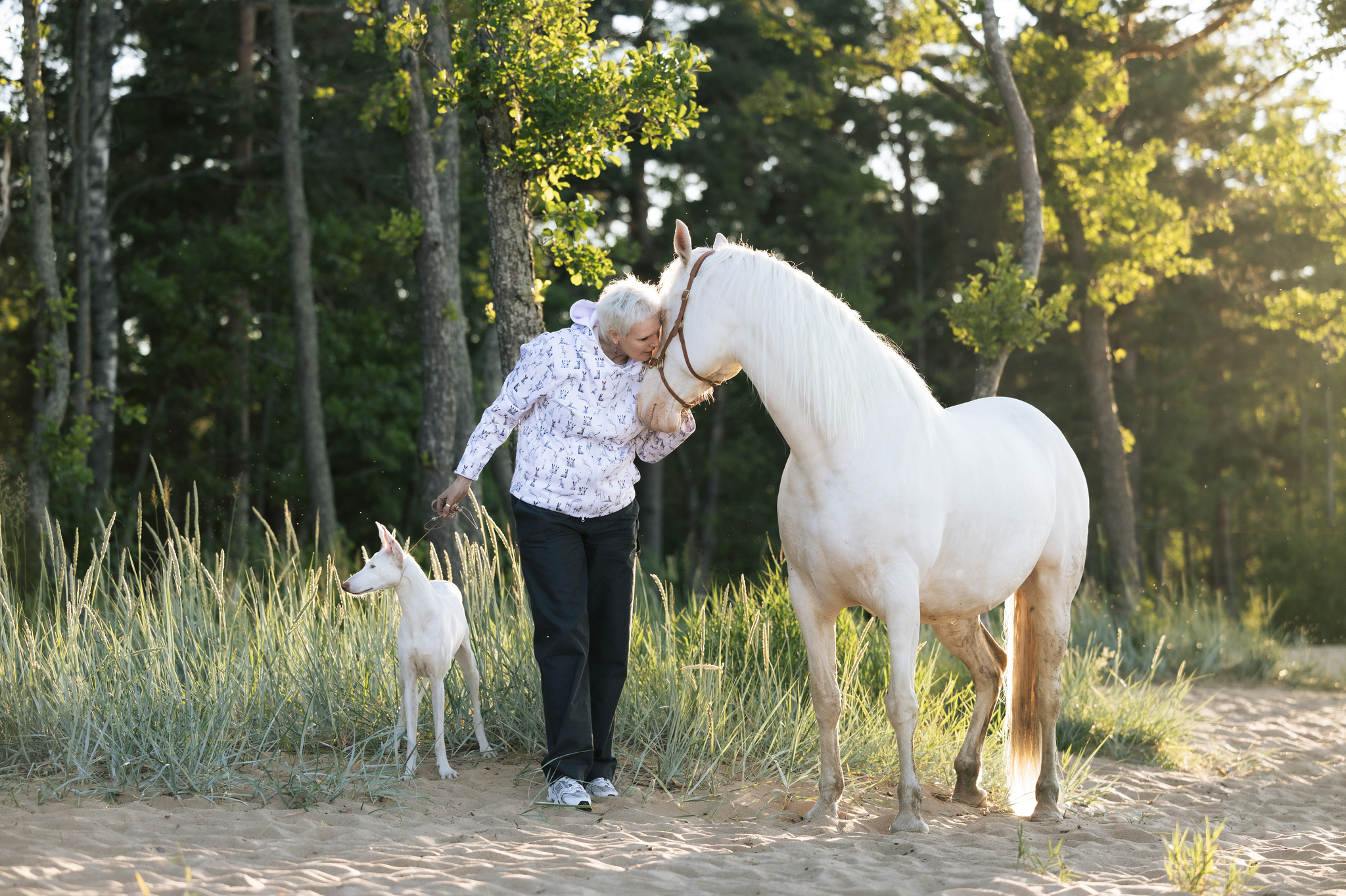 Varya and Parabel - My, Podenko Ibitsenko, Horses, Longpost, The photo, Pets, Dog