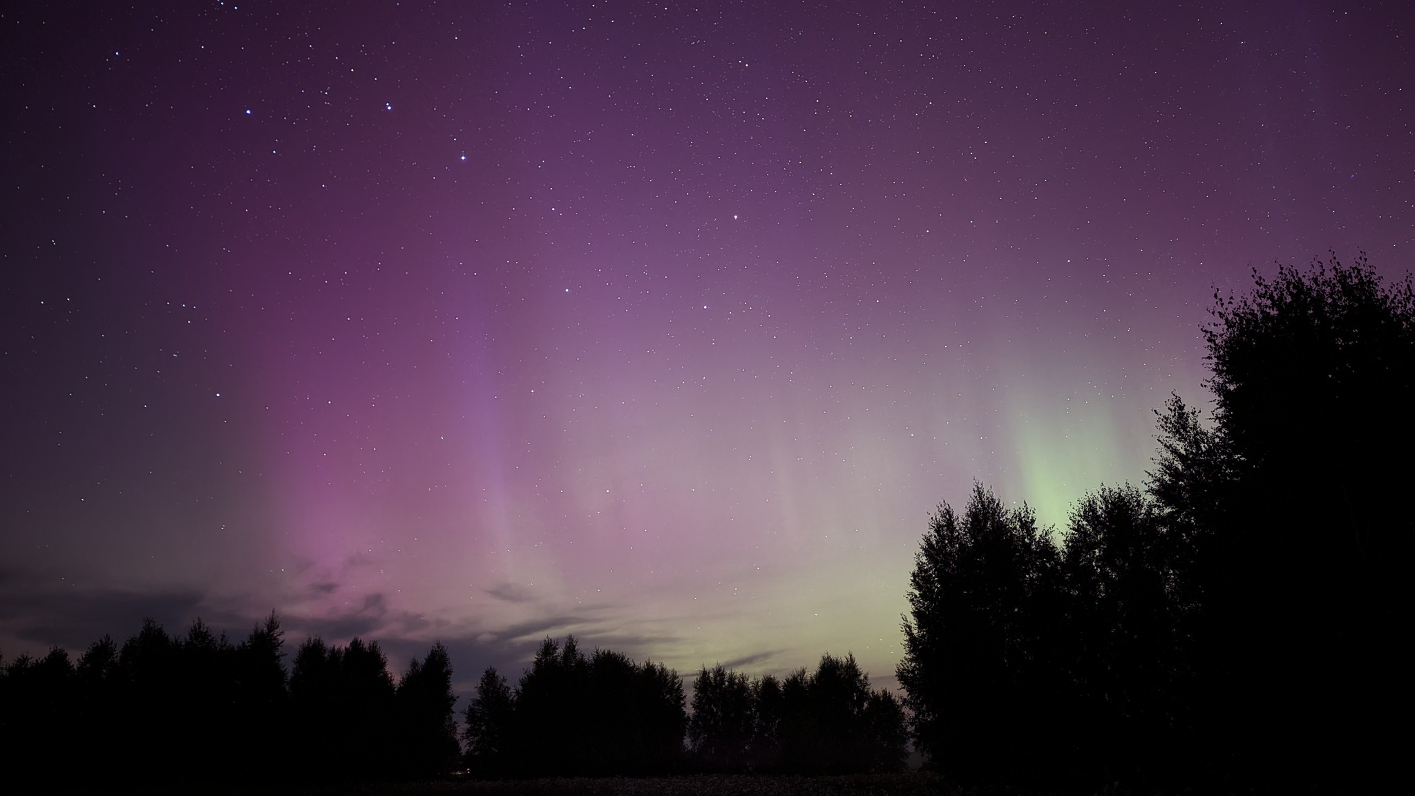 Night near Omsk - My, Polar Lights, Omsk, Night shooting, Milky Way, Astrophoto, Starry sky