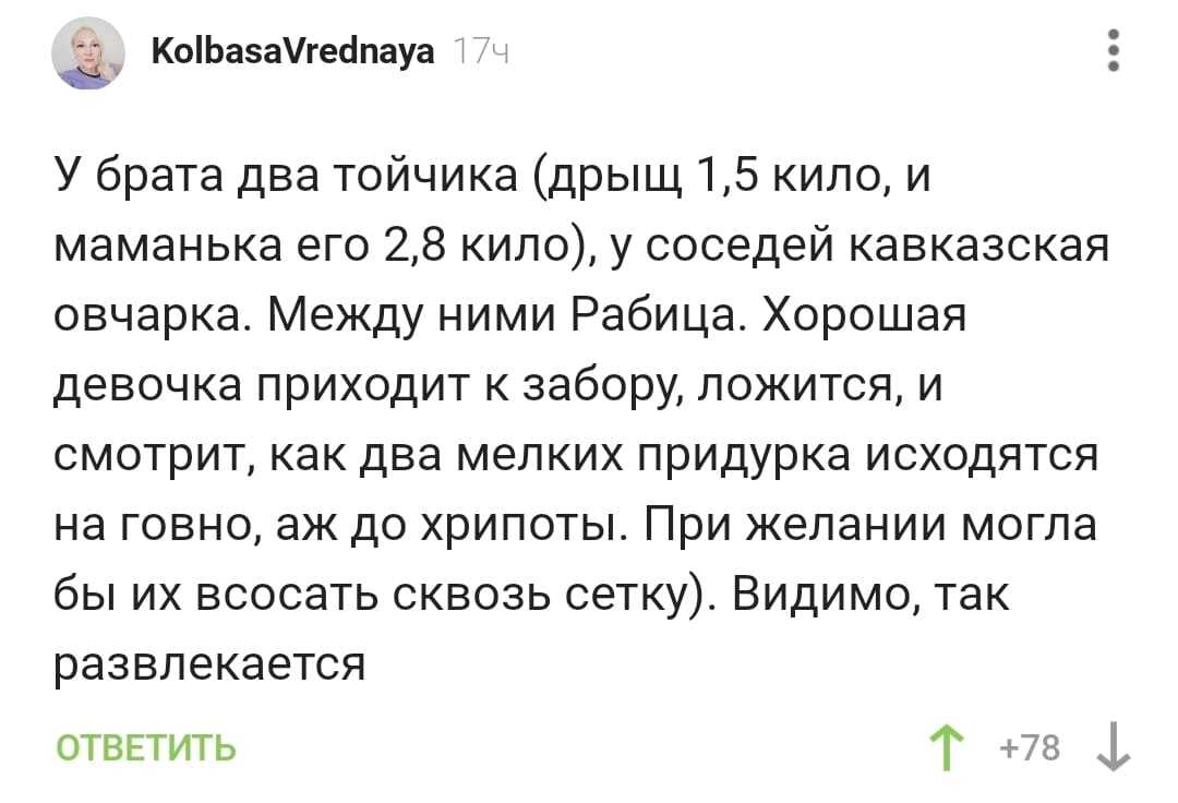 Вместо телевизора - Скриншот, Комментарии на Пикабу, Той-Терьер, Кавказская овчарка, Собака, Соседи