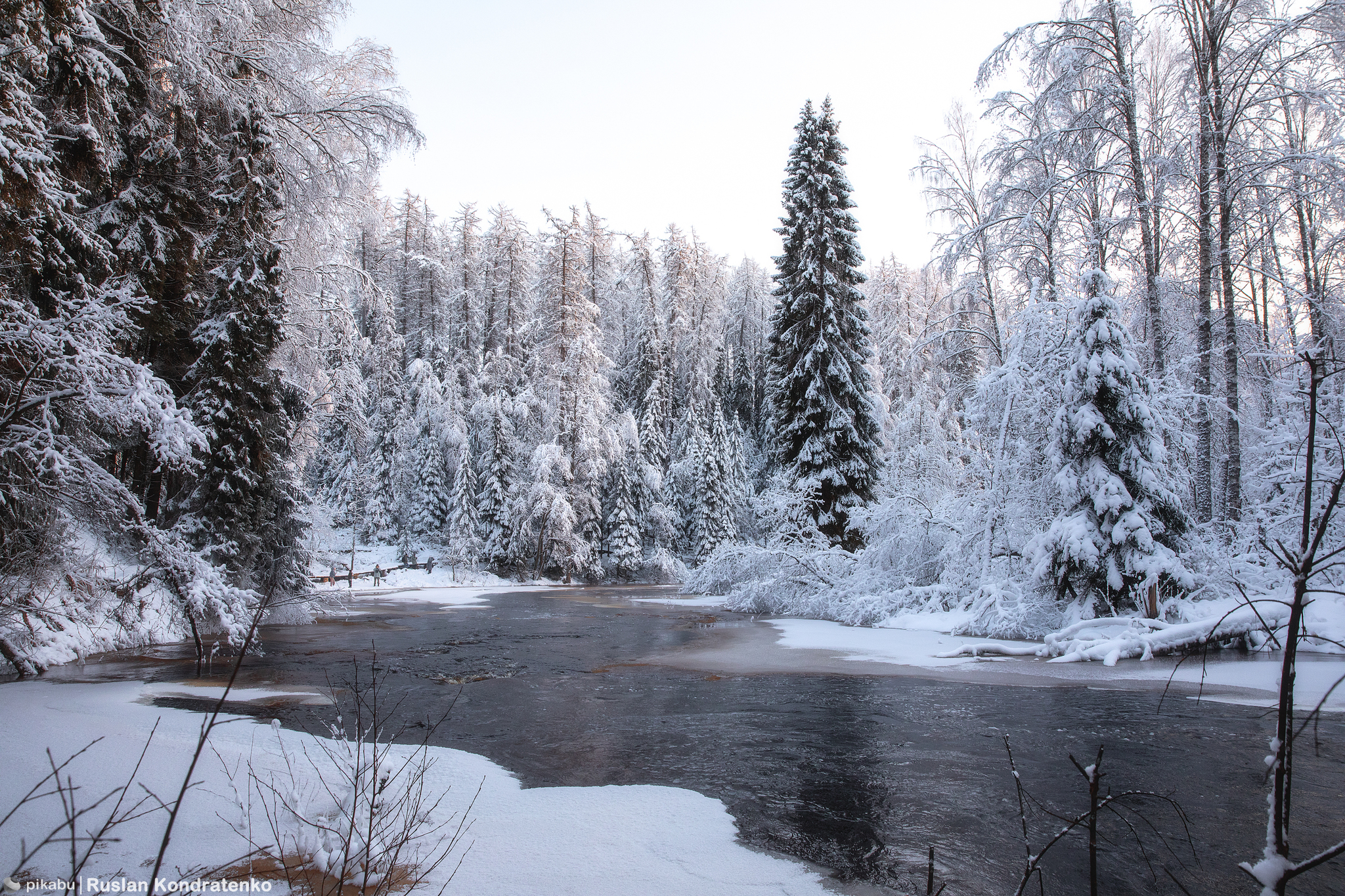 Lindulovskaya Grove in winter - My, The photo, Canon, Evening, Lindulovskaya grove, Winter, Longpost