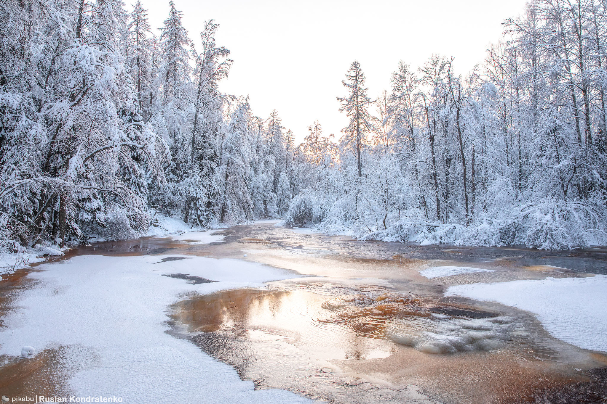 Lindulovskaya Grove in winter - My, The photo, Canon, Evening, Lindulovskaya grove, Winter, Longpost