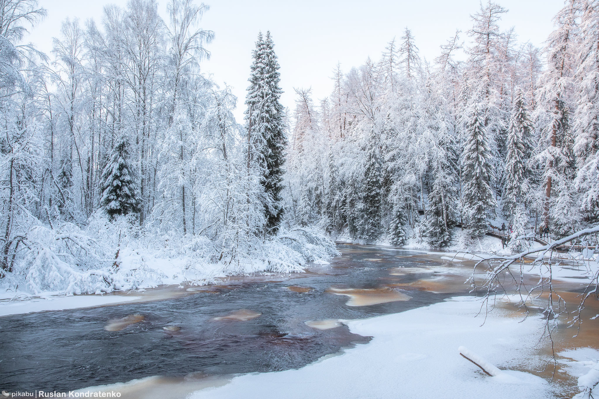 Lindulovskaya Grove in winter - My, The photo, Canon, Evening, Lindulovskaya grove, Winter, Longpost