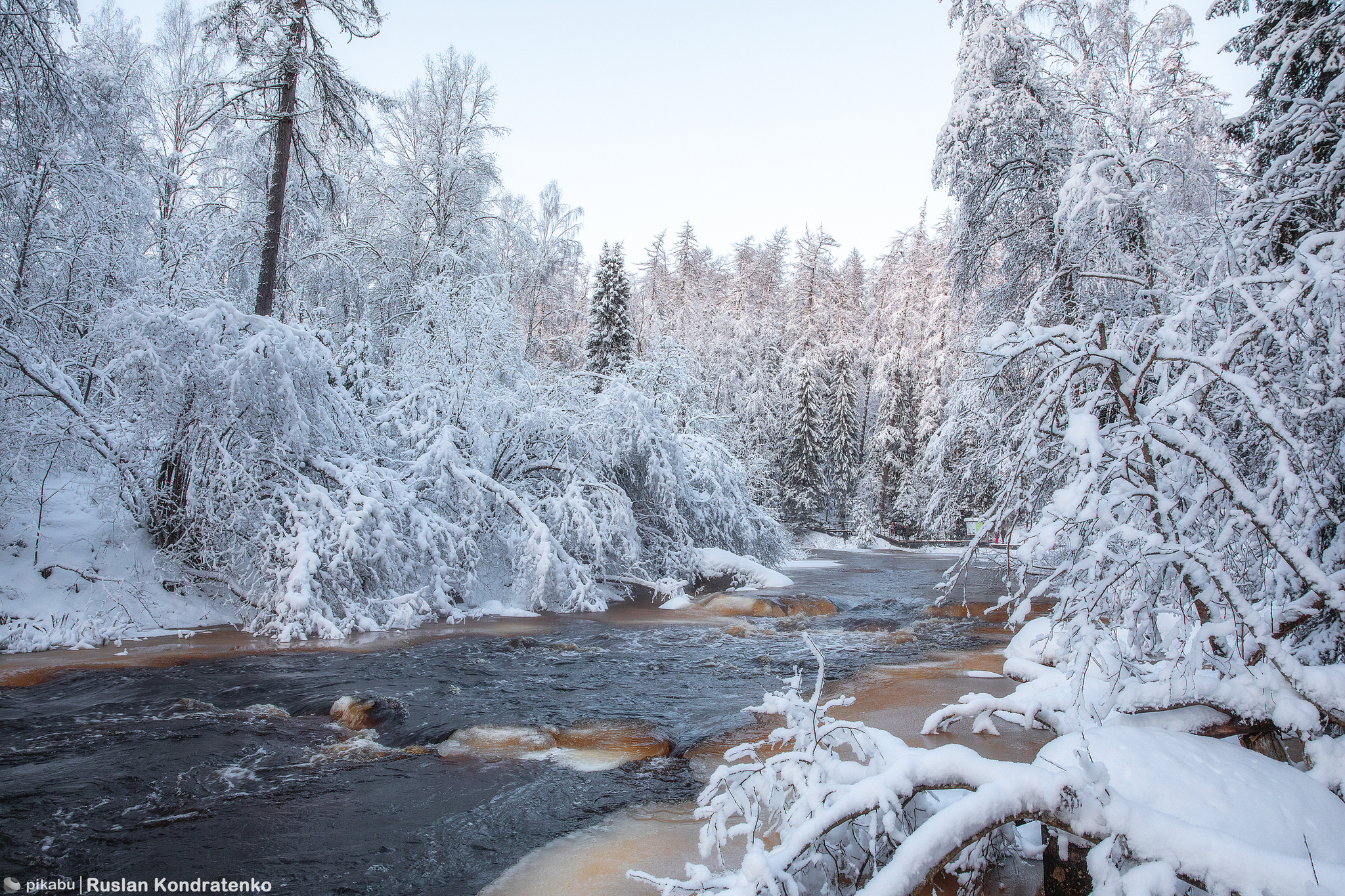 Lindulovskaya Grove in winter - My, The photo, Canon, Evening, Lindulovskaya grove, Winter, Longpost