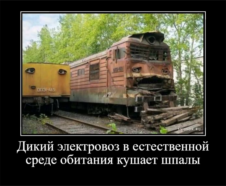 Rare shot - Technics, Humor, Picture with text, Demotivator, Electric locomotive, Pareidolia, Repeat