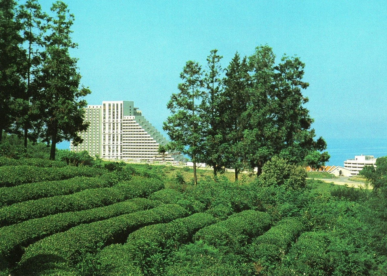 Complex Dagomys and tea plantations, Sochi city, Krasnodar region, 1980s - the USSR, Dagomys, Краснодарский Край, Made in USSR, Childhood in the USSR, Retro, 80-е, Sochi, Film, Telegram (link)