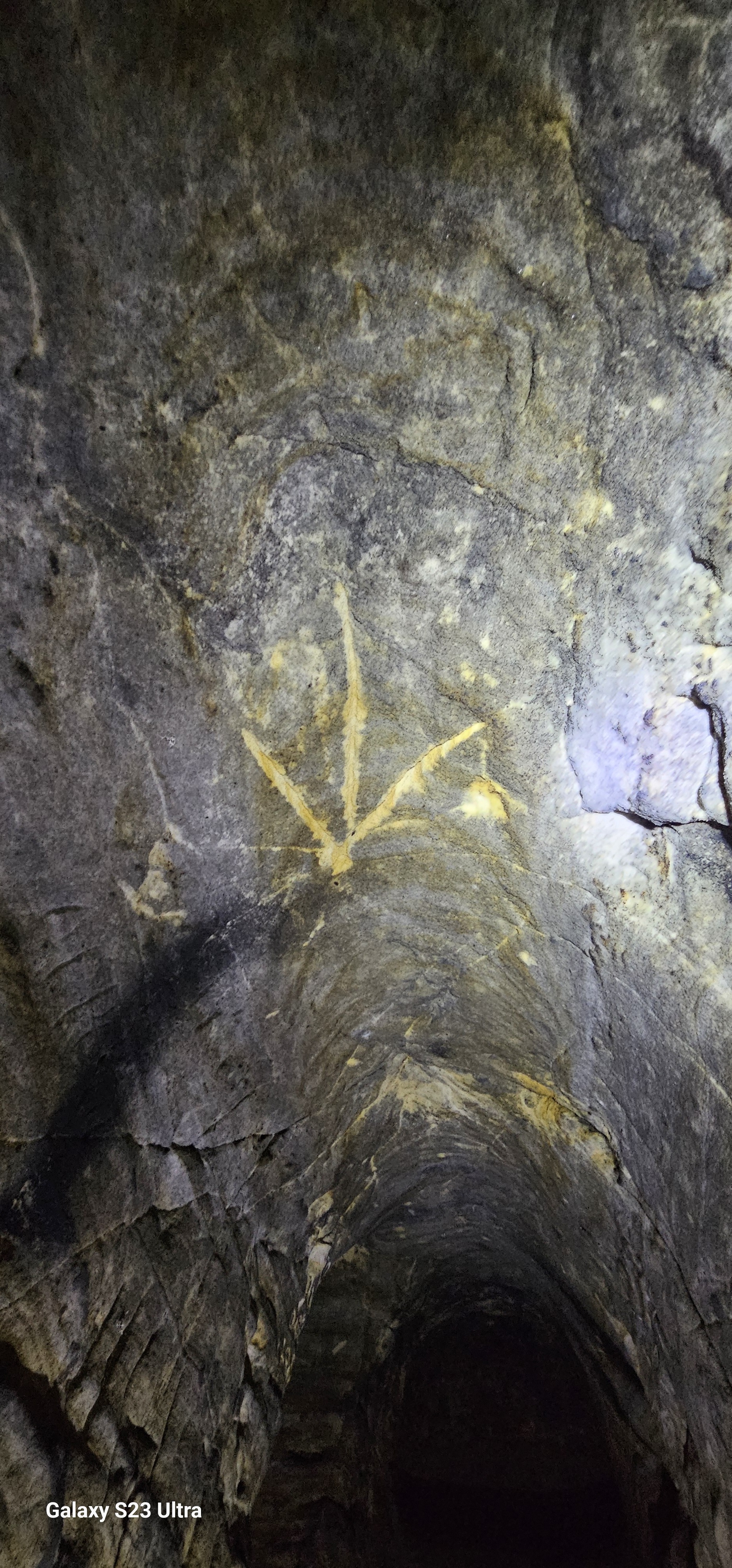 Arapovskie caves, Tula region. Be careful - very long post! - My, Travels, Speleology, Weekend, Adventures, Nature, Caves, Family, Longpost