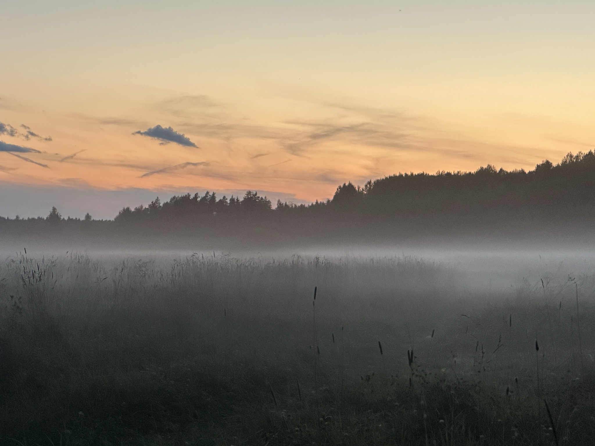 Sunset) - Sunset, Haze, Field, The photo