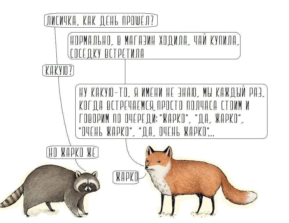 Fox and raccoon - Humor, Picture with text, Memes, Fox, Raccoon, Heat, Telegram (link)