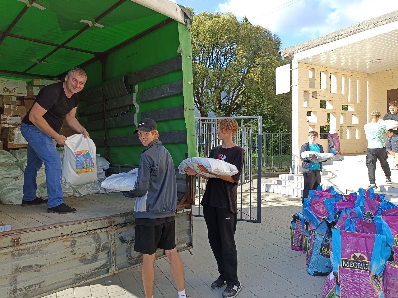 675 kg of food from my stock for a rainy day went yesterday for the cats of Donetsk + 1.5 tons of food from the factory - My, cat, Animal Rescue, Donetsk, Humanitarian aid, Video, Vertical video, Longpost