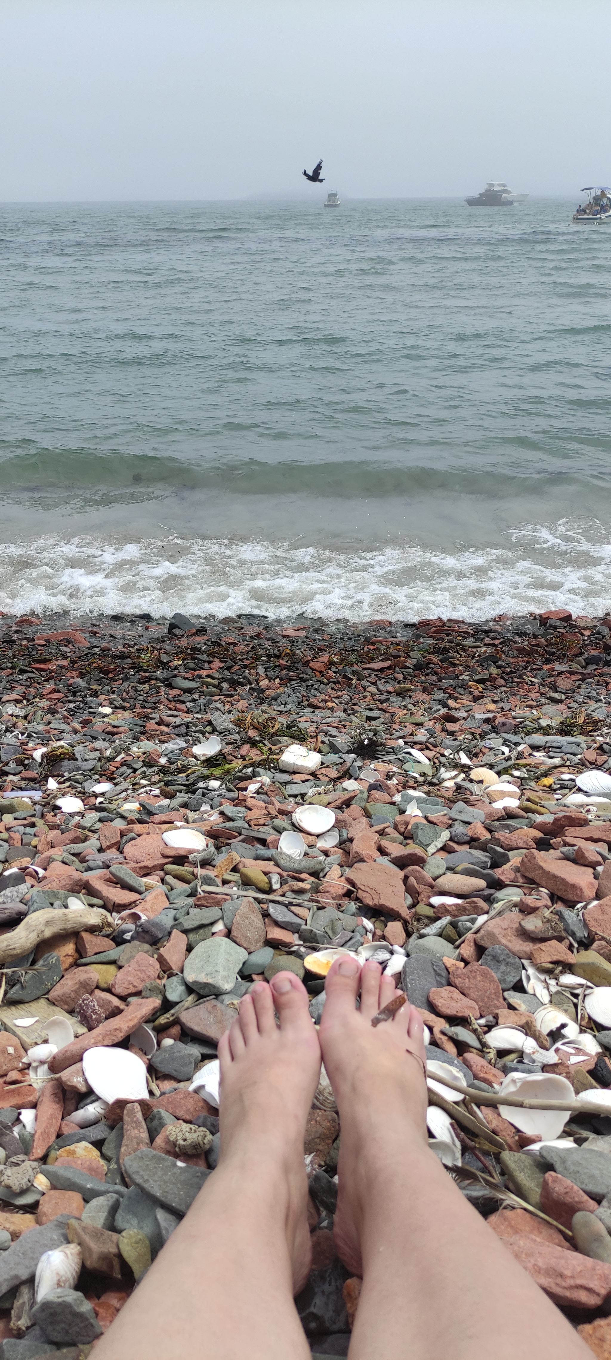 Popov Island, Primorsky Krai - My, Cities of Russia, Vladivostok, Sea, Дальний Восток, sights, Relaxation, Longpost