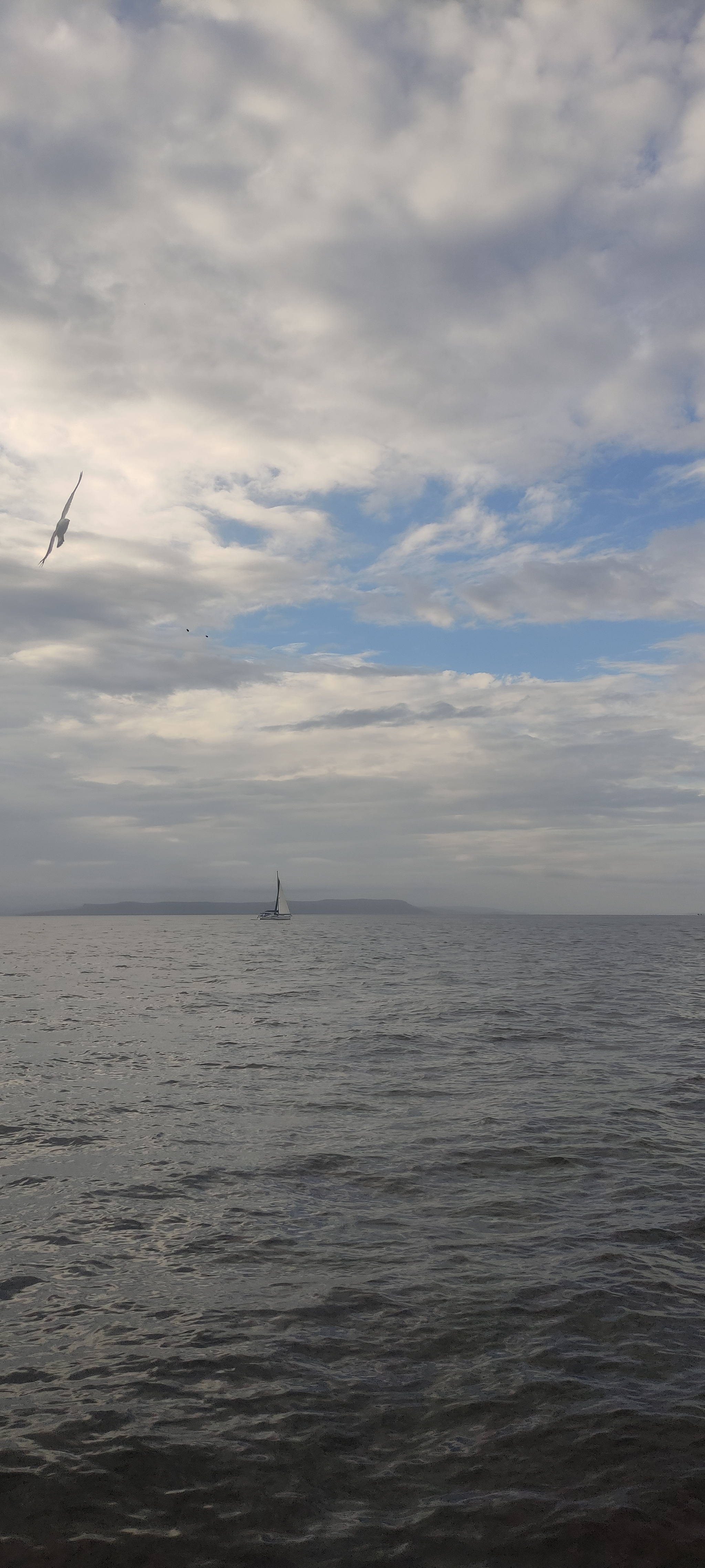 Popov Island, Primorsky Krai - My, Cities of Russia, Vladivostok, Sea, Дальний Восток, sights, Relaxation, Longpost