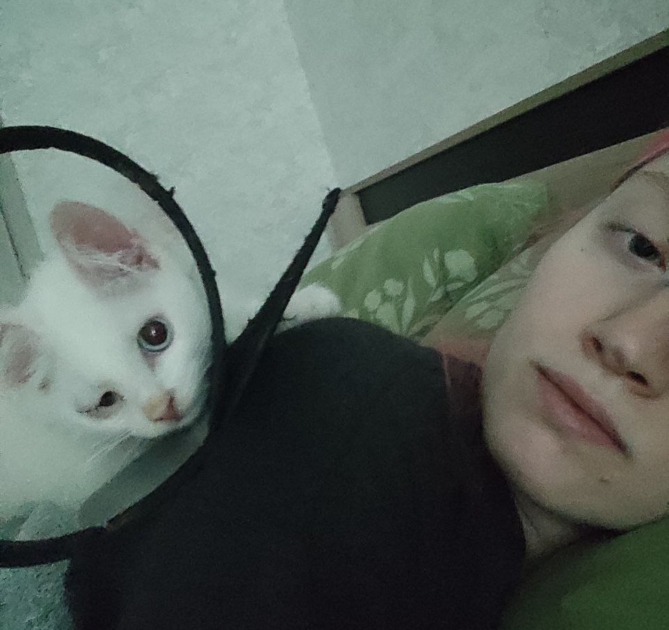 Continuation of the post “Treatment of Buttercup. Forecasts... - My, Veterinary, Life stories, Consultation, cat, Kittens, Help, Animal Rescue, Cat lovers, Надежда, Care, Kindness, Disease, Injury, The rescue, Longpost, Reply to post