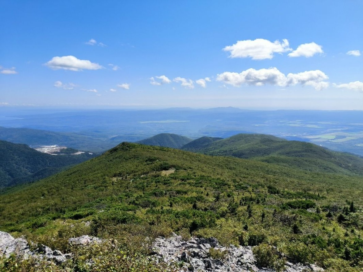 Design and survey work is already underway on the Sakhalin Ostroy Mountain - My, Politics, news, Sakhalin, Yuzhno-Sakhalinsk, Sakhalin Region, Forest, Nature, Officials, Building, Ski resort, Ecology