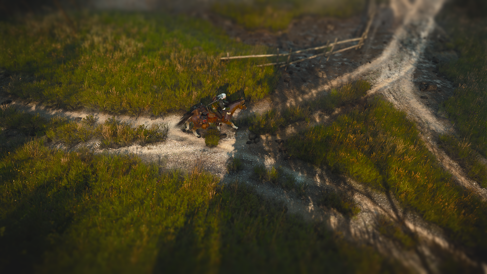 Isometric Witcher - My, Witcher, The Witcher 3: Wild Hunt, Geralt of Rivia, Ciri, Isometric, Screenshot, RPG, Computer games, Longpost