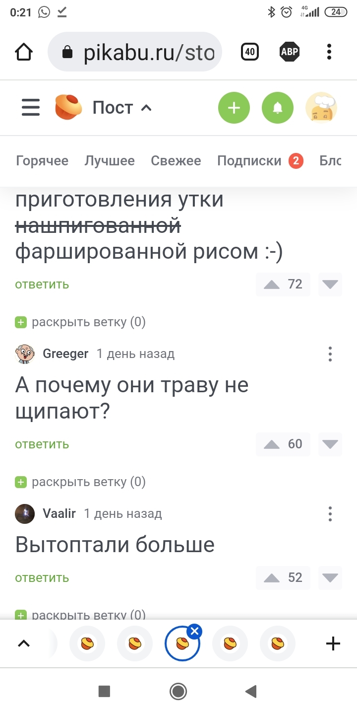 Не отображаются комменты - Скриншот, Комментарии на Пикабу, Пикабу, Баг на Пикабу, Вопрос