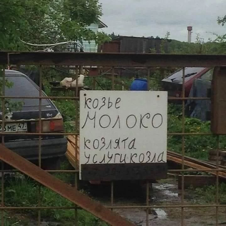 Услуга козел на час - Объявление, Молоко, Козел, Услуги, Козлятина, Ферма, Табличка