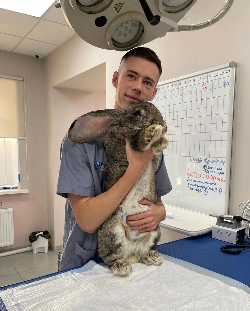 Matvey Olegovich Shevchenko, a veterinarian from St. Petersburg, took a photo with his animals in his care - Veterinary, Saint Petersburg, Milota, Animals, The photo, The medicine, Longpost