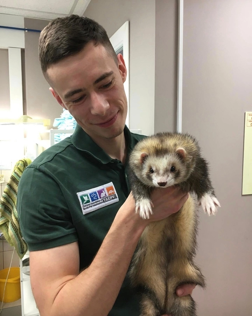 Matvey Olegovich Shevchenko, a veterinarian from St. Petersburg, took a photo with his animals in his care - Veterinary, Saint Petersburg, Milota, Animals, The photo, The medicine, Longpost