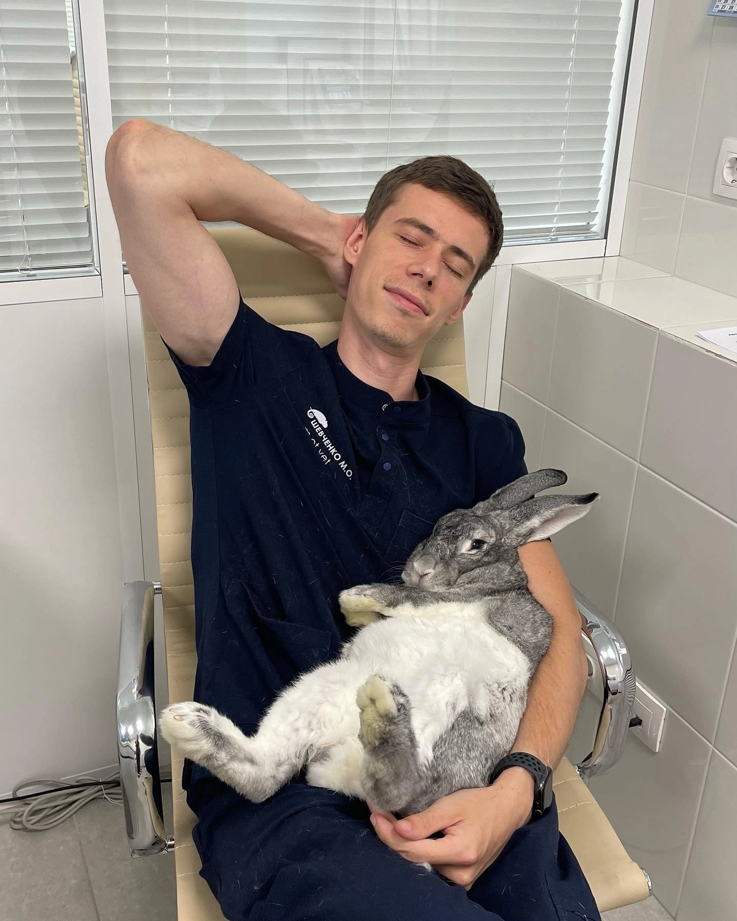 Matvey Olegovich Shevchenko, a veterinarian from St. Petersburg, took a photo with his animals in his care - Veterinary, Saint Petersburg, Milota, Animals, The photo, The medicine, Longpost