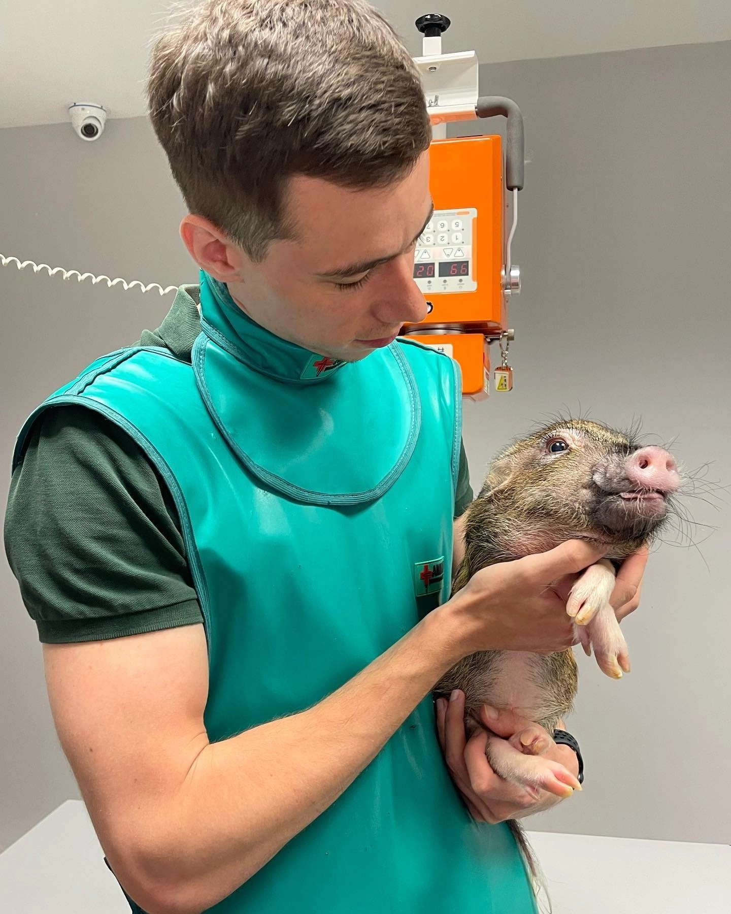 Matvey Olegovich Shevchenko, a veterinarian from St. Petersburg, took a photo with his animals in his care - Veterinary, Saint Petersburg, Milota, Animals, The photo, The medicine, Longpost