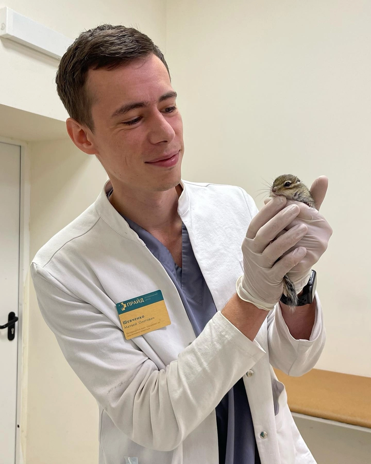 Matvey Olegovich Shevchenko, a veterinarian from St. Petersburg, took a photo with his animals in his care - Veterinary, Saint Petersburg, Milota, Animals, The photo, The medicine, Longpost