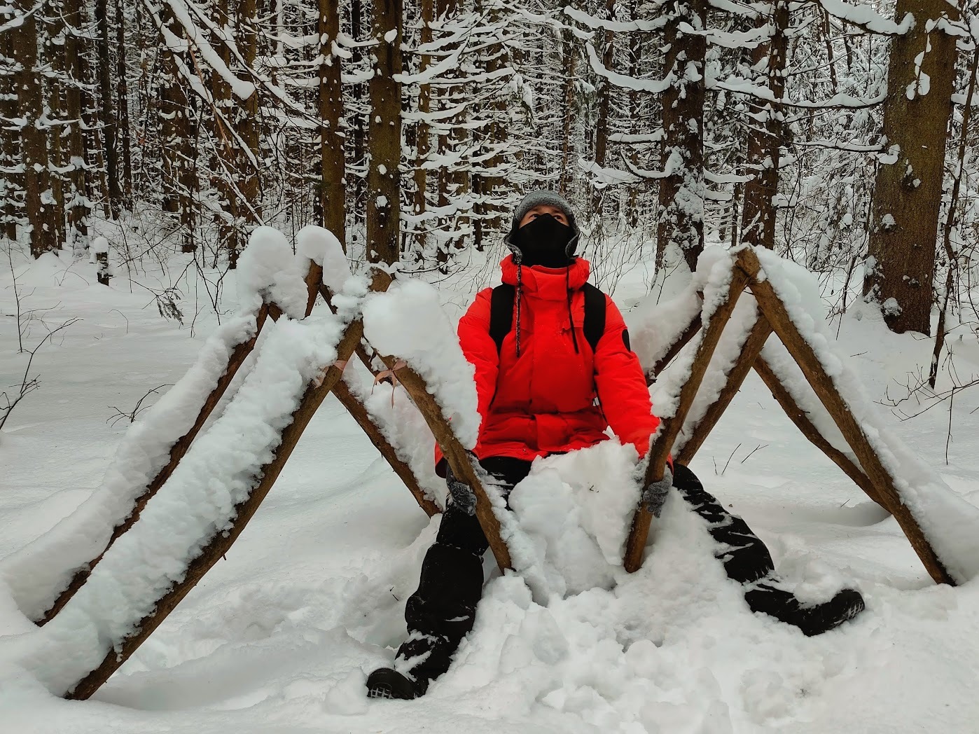 Take me for a ride, you frozen spider - My, Winter, Snow, Wooden construction, Forest, The nature of Russia, The photo