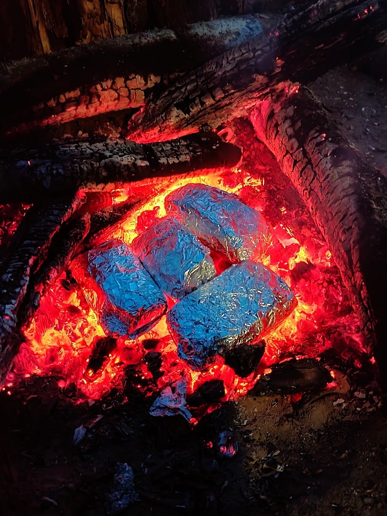 Camping dinner - My, Bonfire, Hot coals, Hike, Meat, Evening